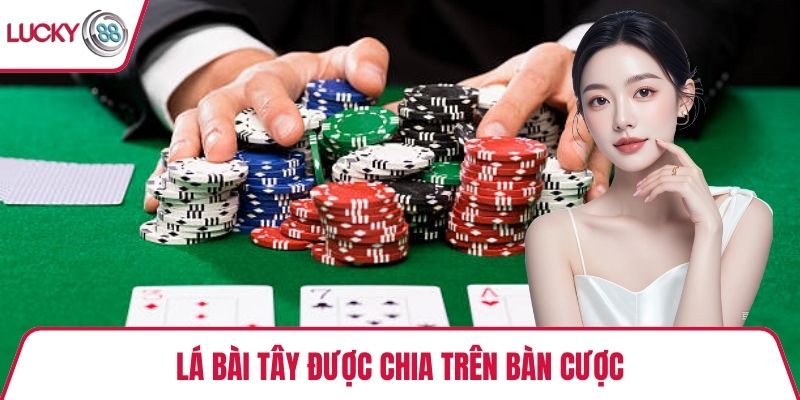 Lá bài tây được chia trên bàn cược